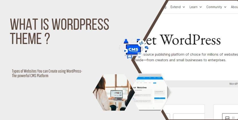 Read more about the article What is WordPress Theme? Types of Themes in WordPress