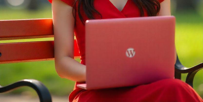 Read more about the article Why Choose WordPress For Your Blog ?