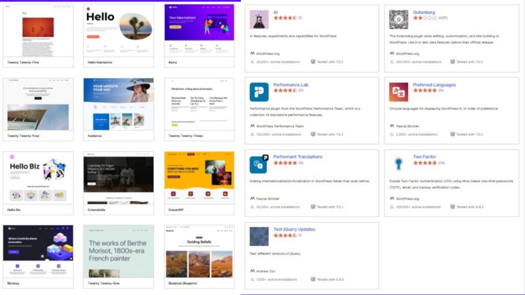 Use only Secure Theme and Plugins